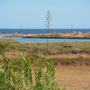 Dria , Armação de Pêra Portugal